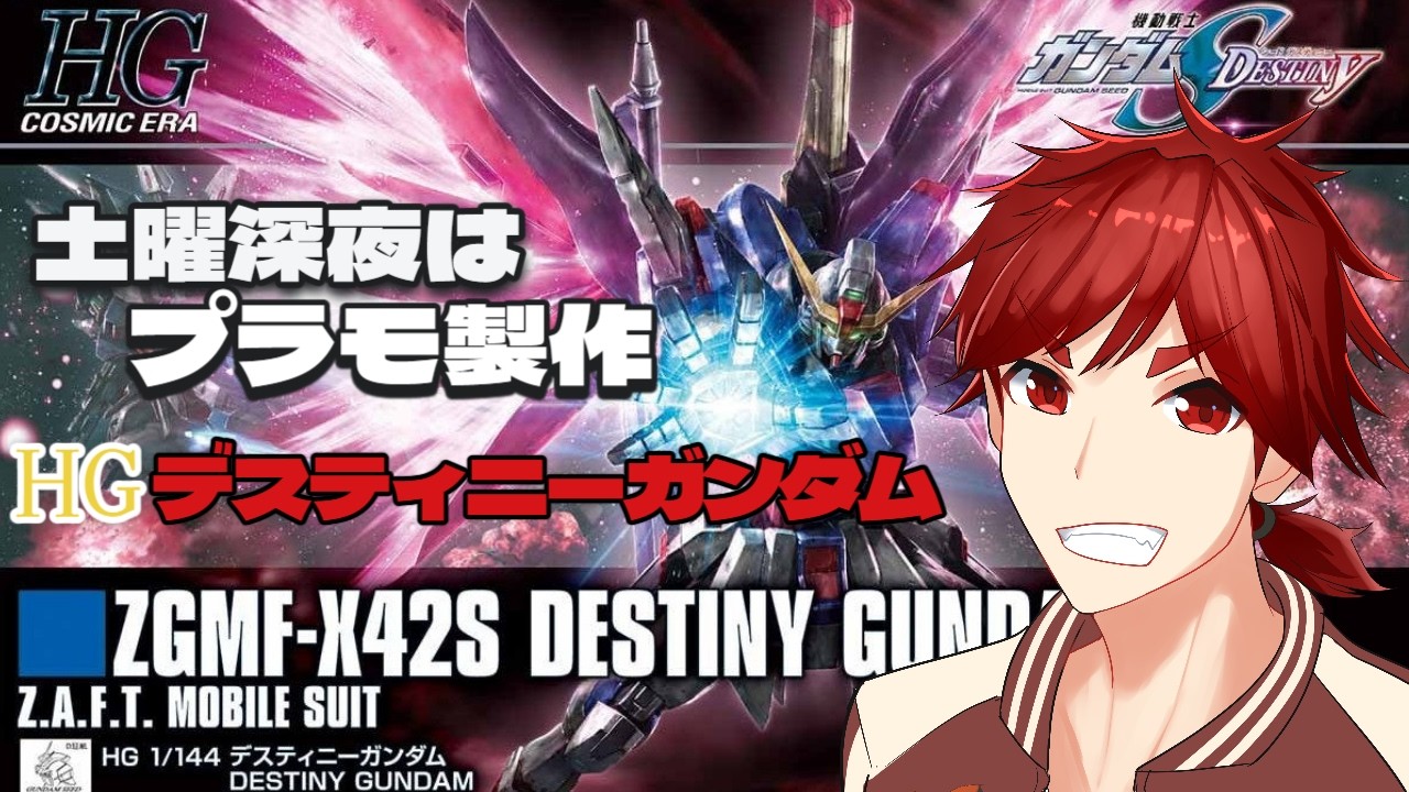 【実写手元配信】サタデー深夜作業枠part.1　プラモ製作 HGデスティニーガンダム【プラモ】