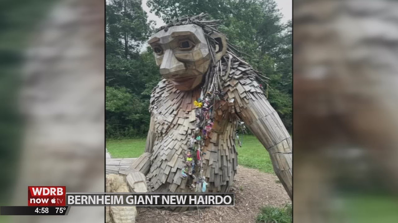 Bernheim Forest giant gifted with new hairdo