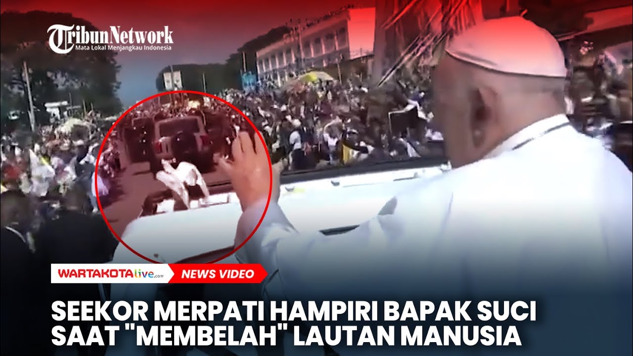 Seekor Merpati Hampiri Bapak Paus Fransiskus Saat 