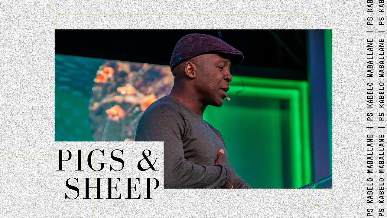 Pigs & Sheep - Ps Kabelo