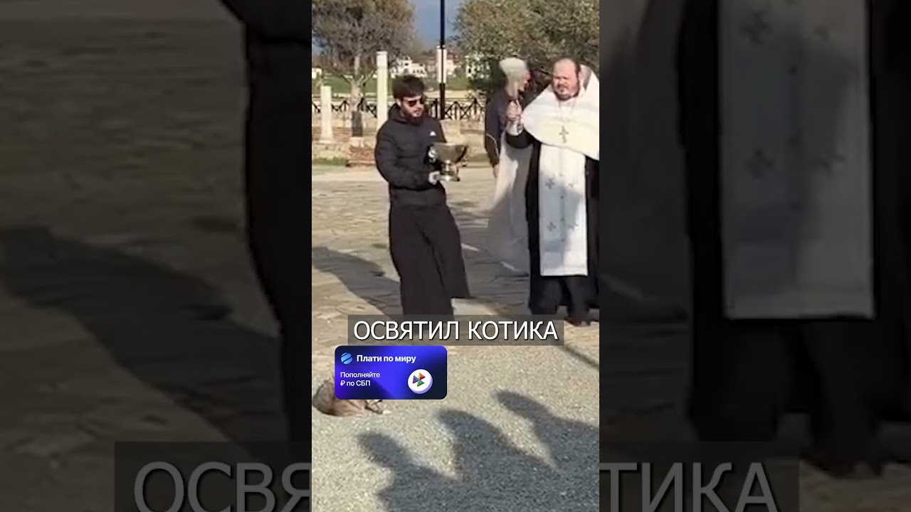 Священник ОСВЯТИЛ КОТА на Службе