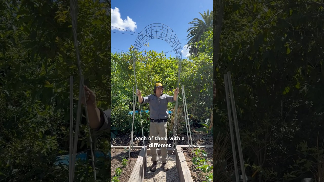 DIY Arch Trellis Tutorial