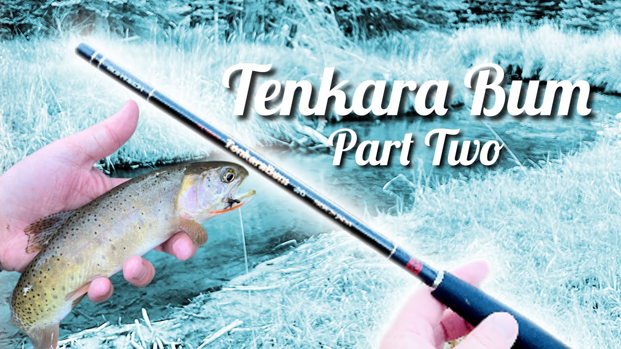 Tenkara Bum 36: День трансляции демо