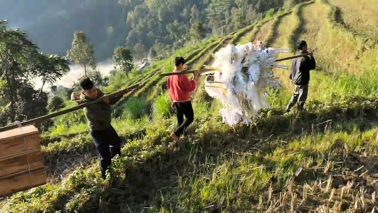Đưa mẹ về nơi chín suối 