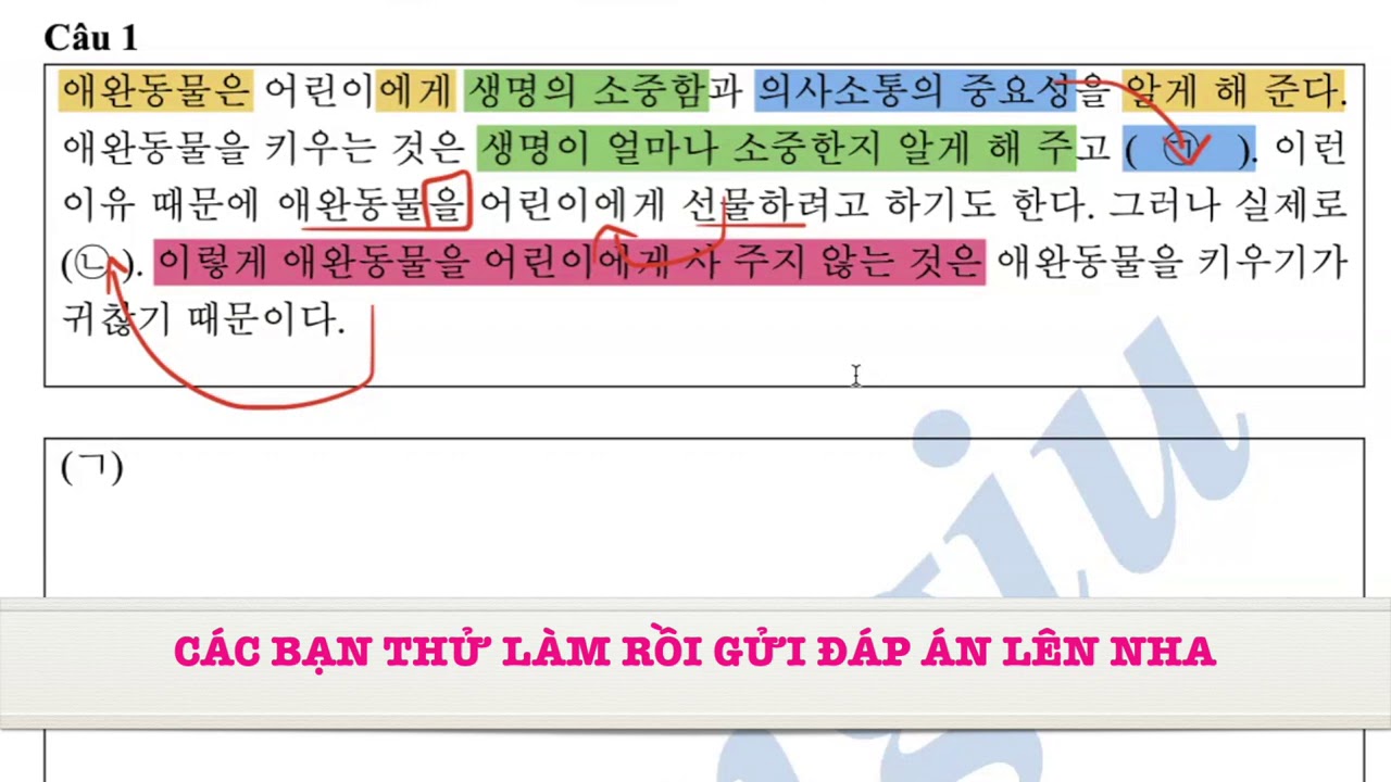 Luyện tập viết câu 52 TOPIK | 한국어능력시험 쓰기 52번 | mẫu số 1