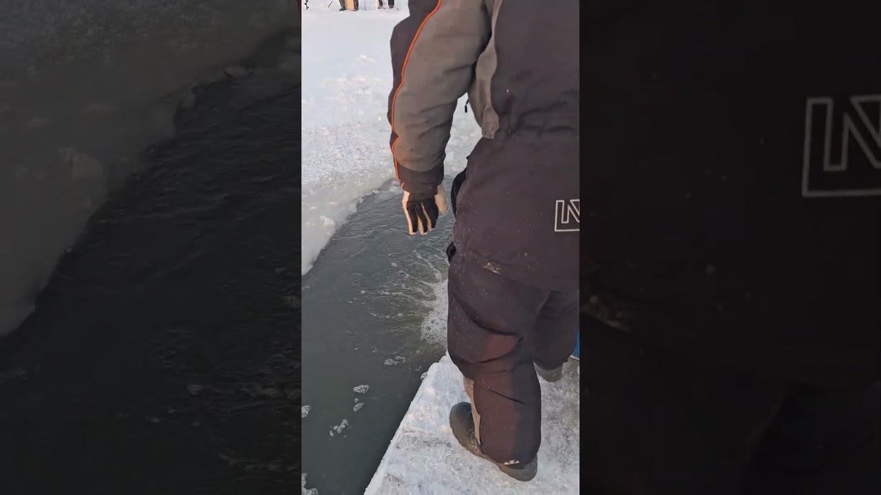 Добавили 108 кг форели