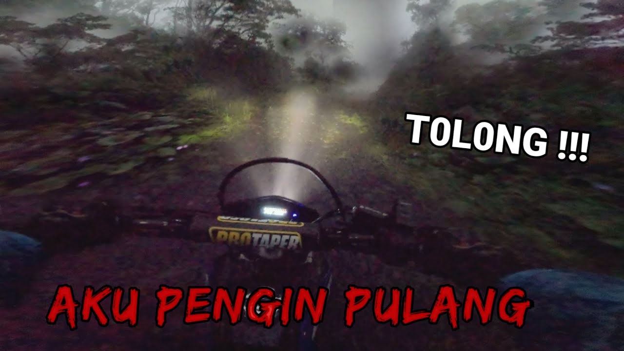 PENGIN PULANG‼️AKU TERSESAT DI PEDALAMAN HUTAN GUNUNG SLAMET