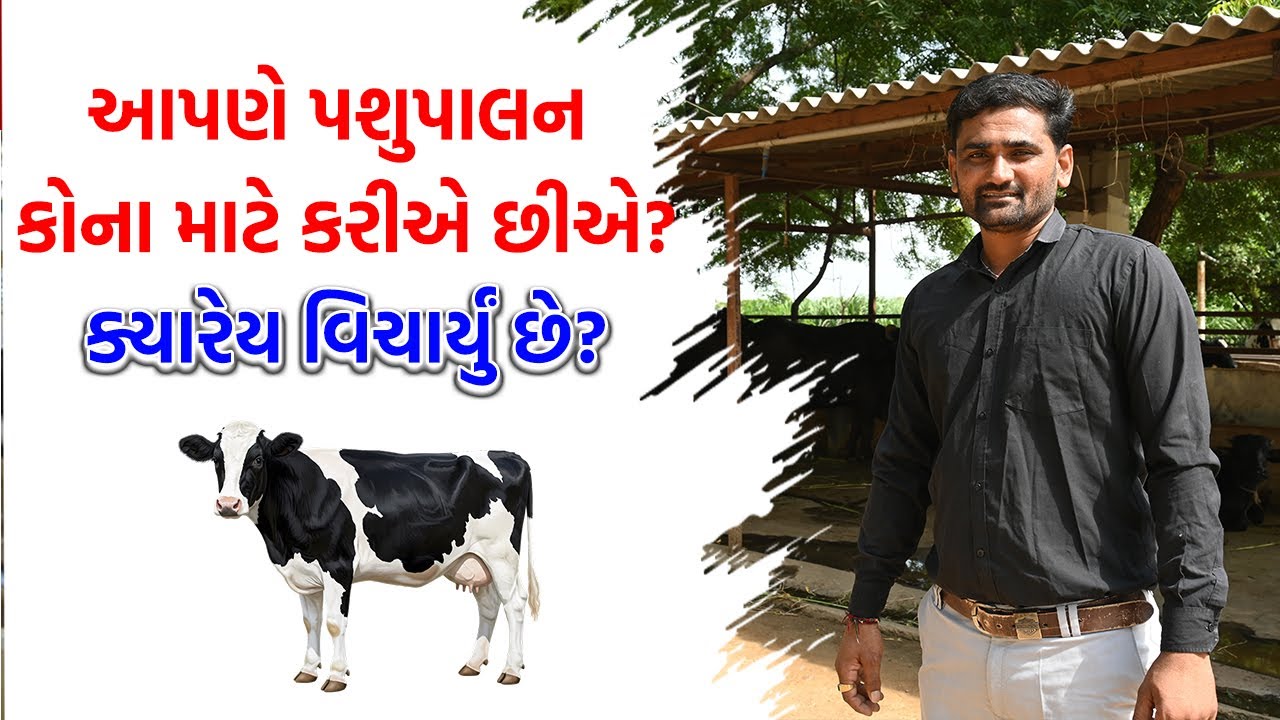 ક્યારેય વિચાર્યું છે કે આપણે પશુપાલન કોના માટે કરીએ છીએ?