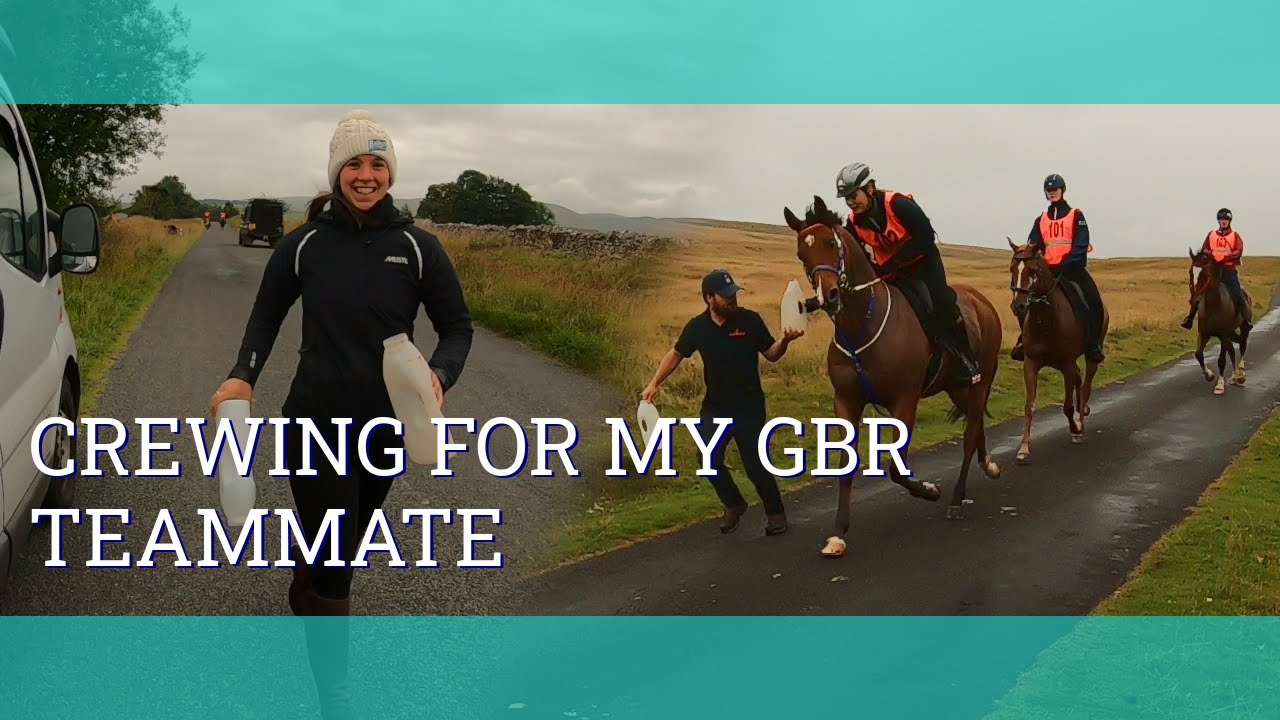 Crewing for my GBR teammate - Vlog 95 - Beth Endurance