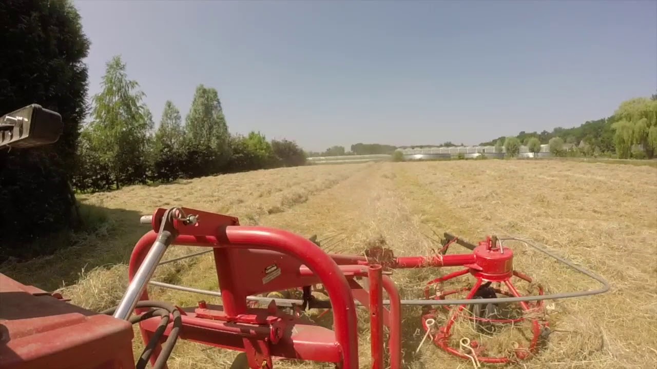 New Holland Boomer 50 with PZ Haybob 300 Tedding Hay by DutchHorseGuy