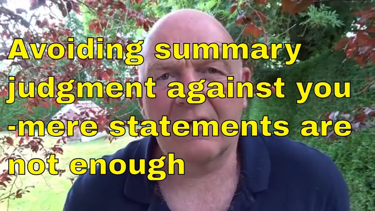 Avoiding Summary Judgments-A Credible Defence is Necessary, Mere Assertions Not Enough