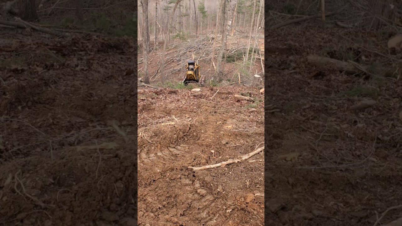 some of my weekly logging