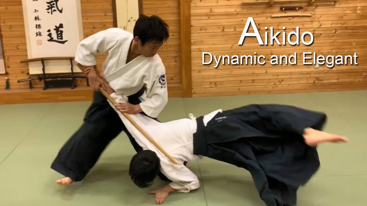 Динамичное и элегантное айкидо - Shirakawa Ryuji shihan