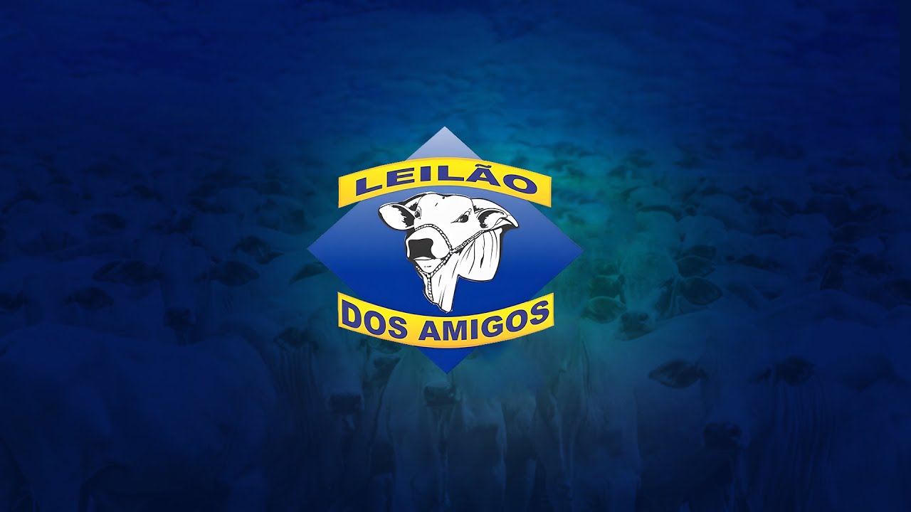Leilão Dos Amigos -  23/02/2026 -  Transmissão ao vivo   |  Iporá - Go