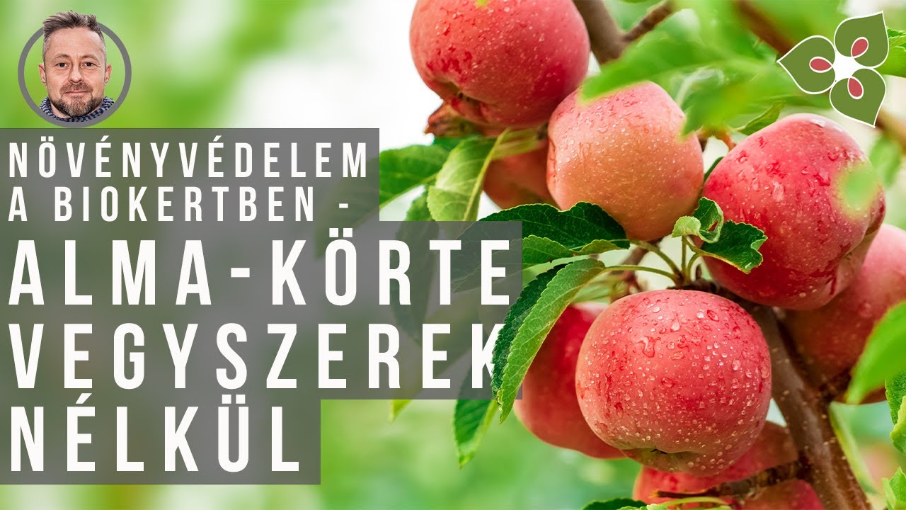 Növényvédelem a biokertben: Alma-körte vegyszerek nélkül | kert TV - ÖMKi - 2.rész
