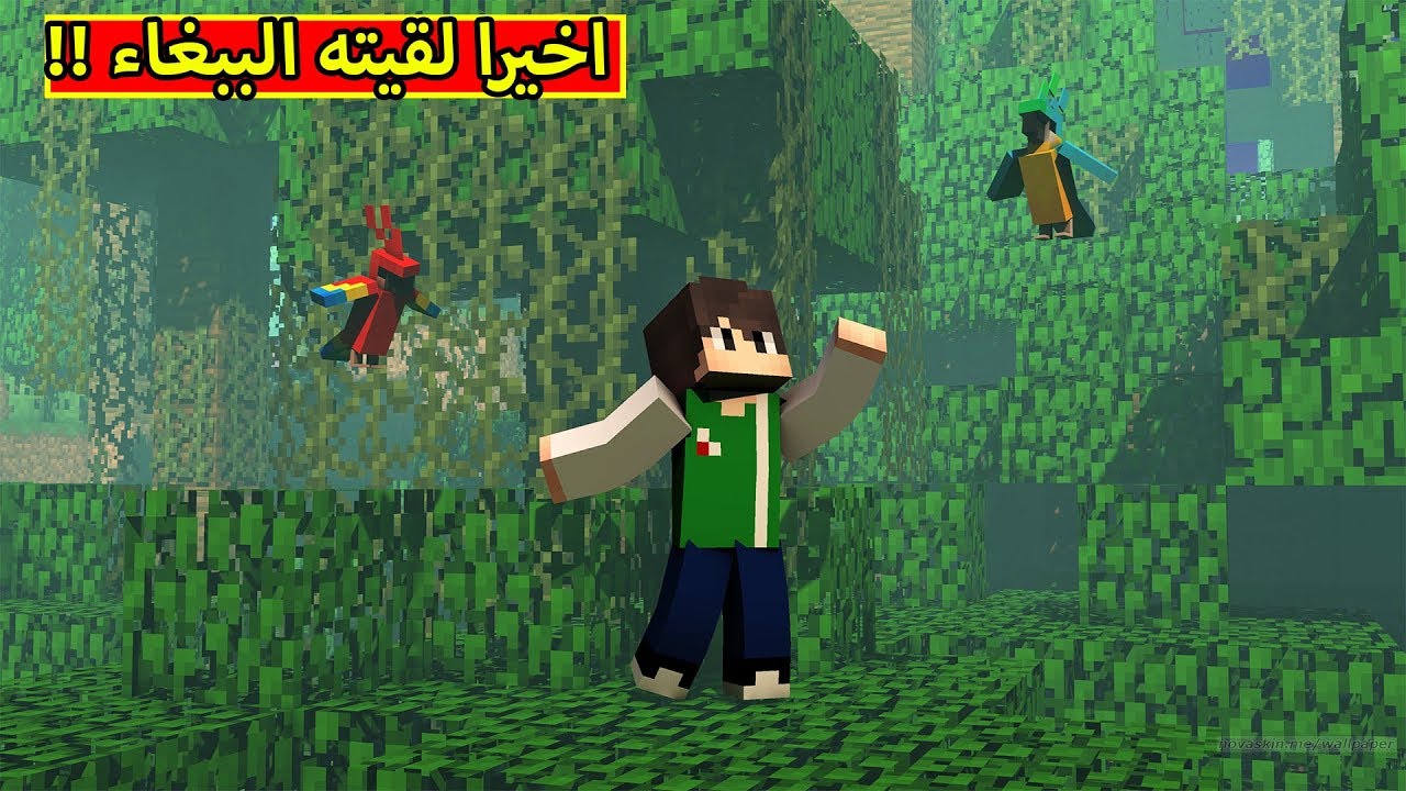 ماين كرافت : اخيرا لقيته الببغاء | Minecraft !! 🐦🔥