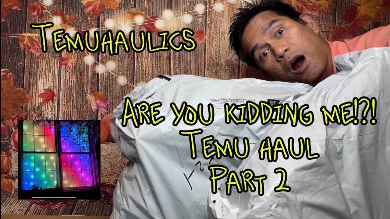 Temu Haul with Smart Curtain Lights Part 2 | Product Demos | October 2024