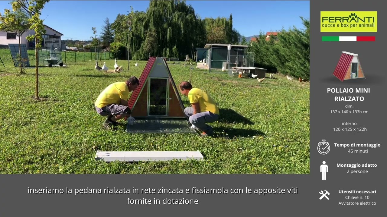 Pollaio per 6 - 8 galline o polli VIDEO TUTORIAL - Ferranti