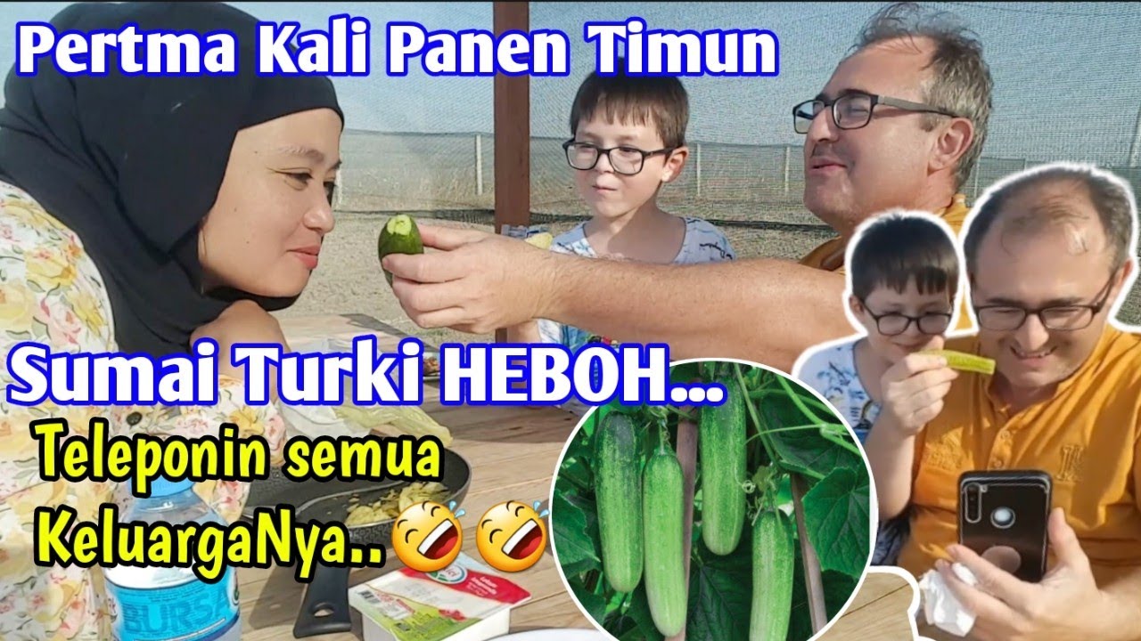 HEBOH!!Pertama kali panen di kebun sendiri Suami Turki Teleponin semua KeluargaNya🤣
