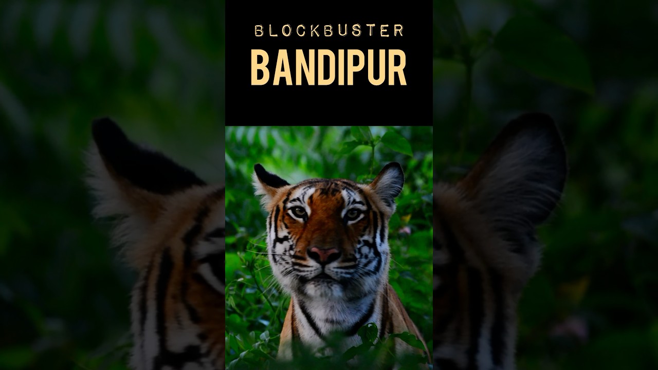Hold your breath- Blockbuster Bandipur releasing on 27th May #ClickATale