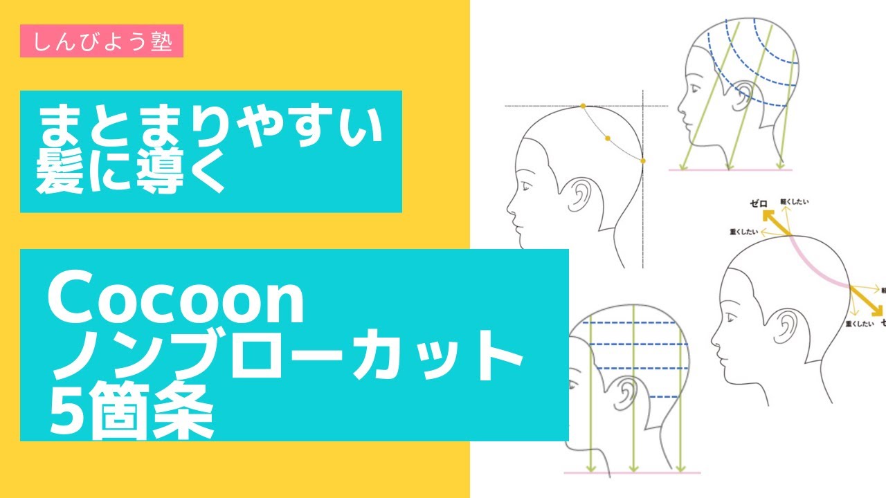 まとまりやすい髪に導く　Cocoonノンブローカット5箇条