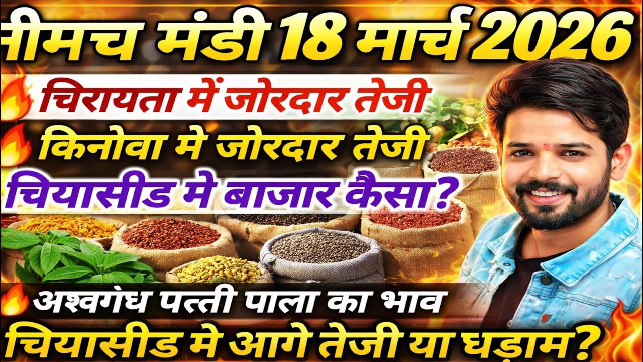 नीमच मंडी भाव। चिया भाव। चिया सीड भाव। चिरायता भाव। किनोवा भाव Neemuch Mandi bhav  chirayata bhav