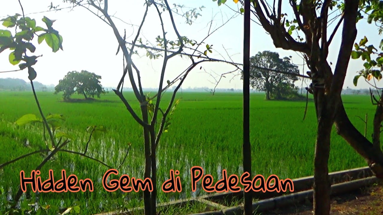 Ada Hidden gem Cantik di pedesaan Bojonegoro