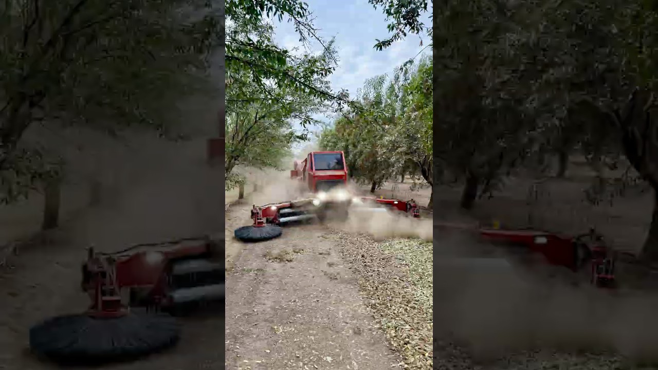Ultimate Self-Propelled Conditioner: Transform Your Orchards with Efficient Windrow Techniques!