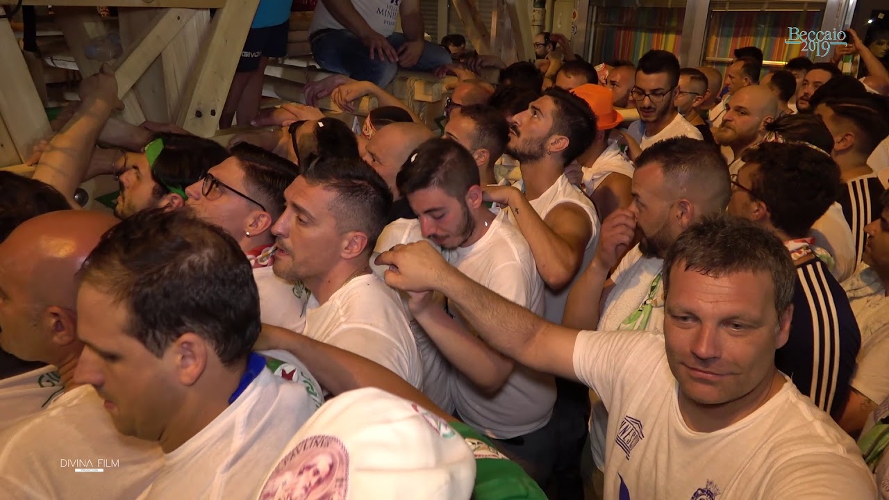 3 dvd  - Giglio del Beccaio 2019 - Paranza Stella -