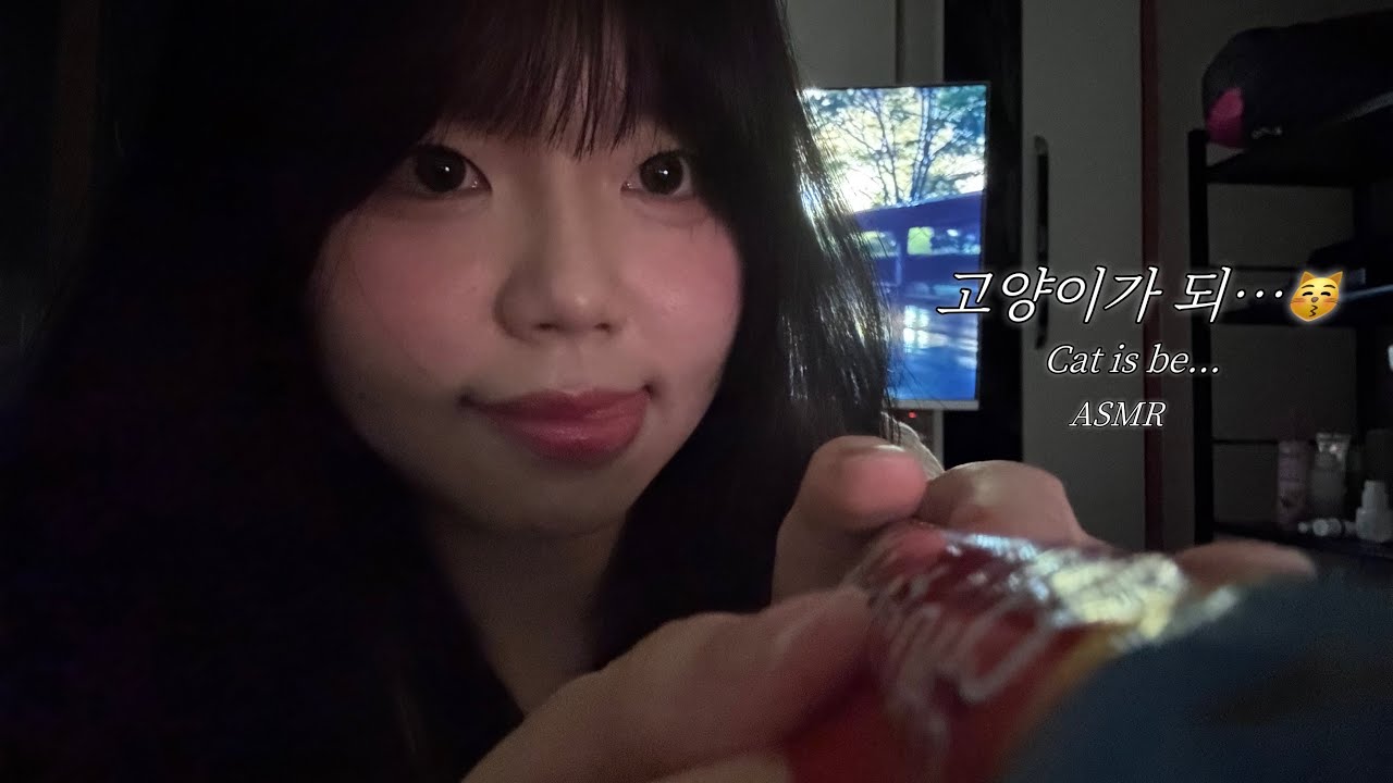 고양이가 되어볼래…? (POV: You Are a Cat ASMR)