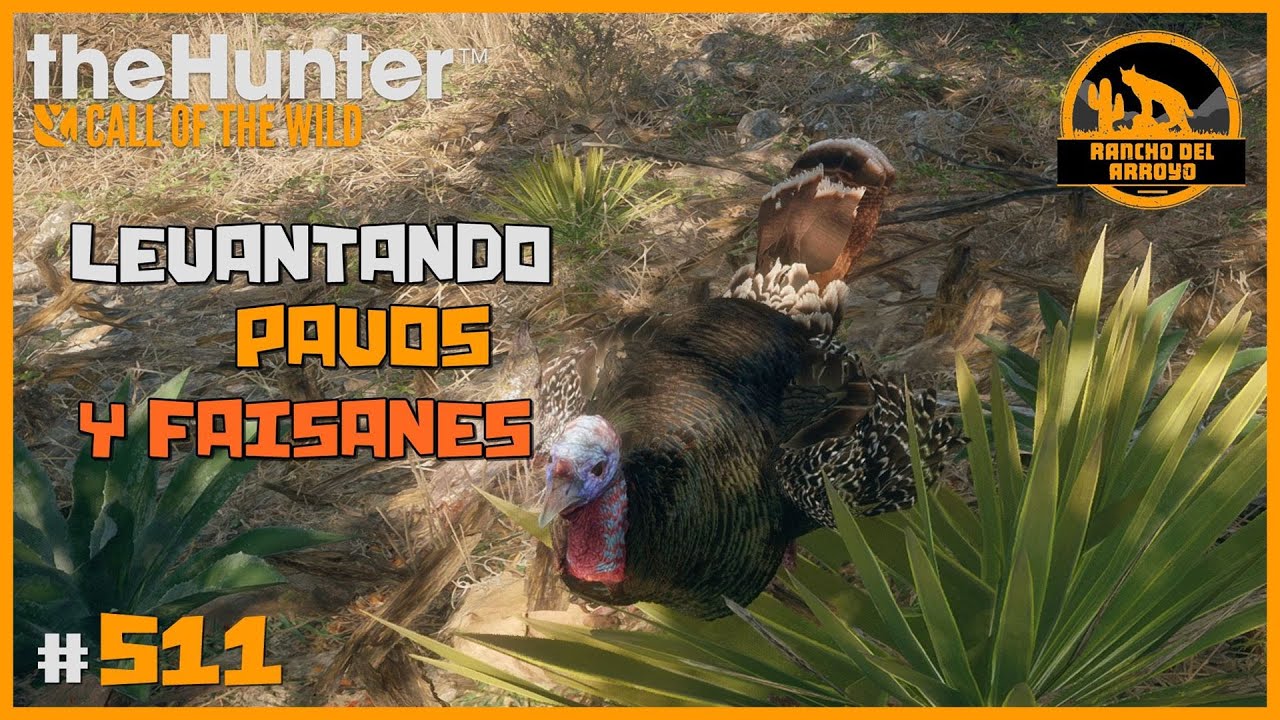 LEVANTANDO PAVOS Y FAISANES EN RANCHO DEL ARROYO, BUENOS LANCES | 🦌theHunter: CotW #511