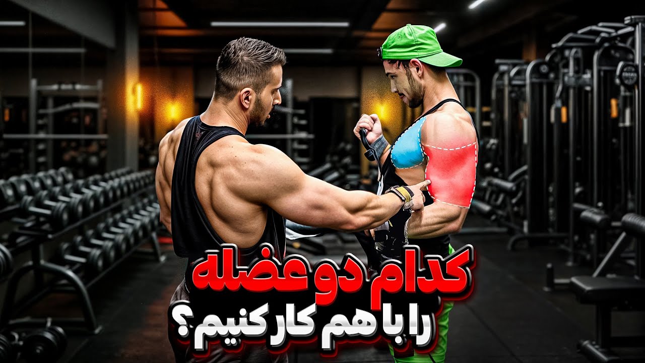 کدام دو عضله را با هم تمرین بدیم