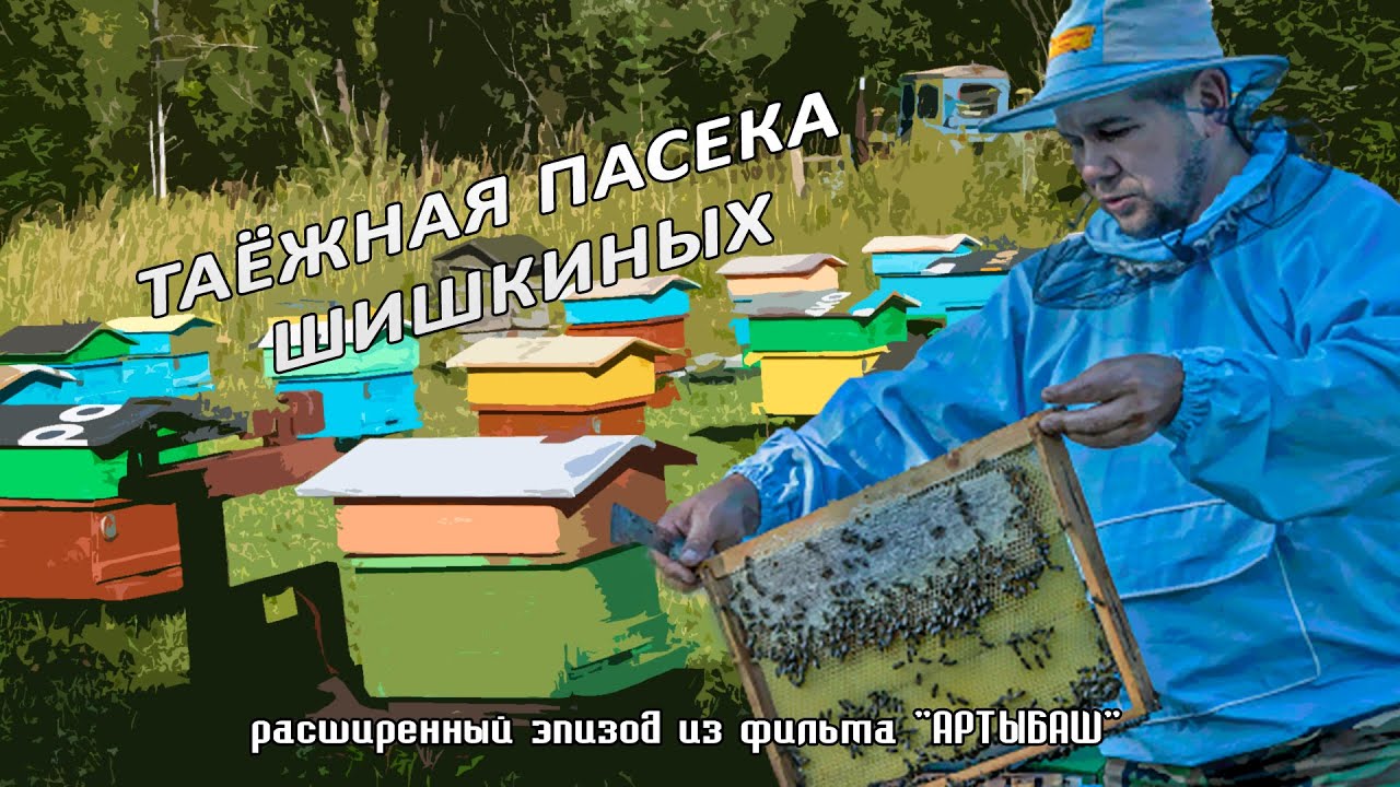 Таёжная пасека Шишкиных