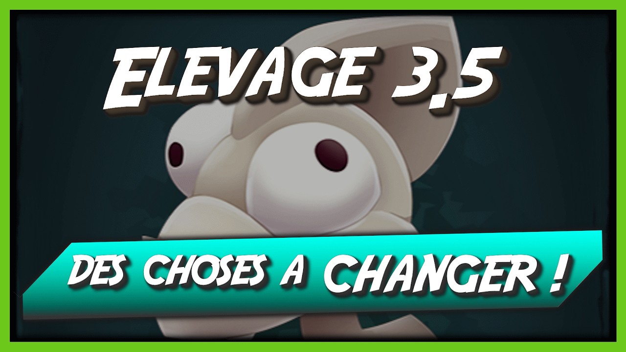 Dofus 3.5 - Les défauts qu'il faut ABSOLUMENT corriger sur l'élevage