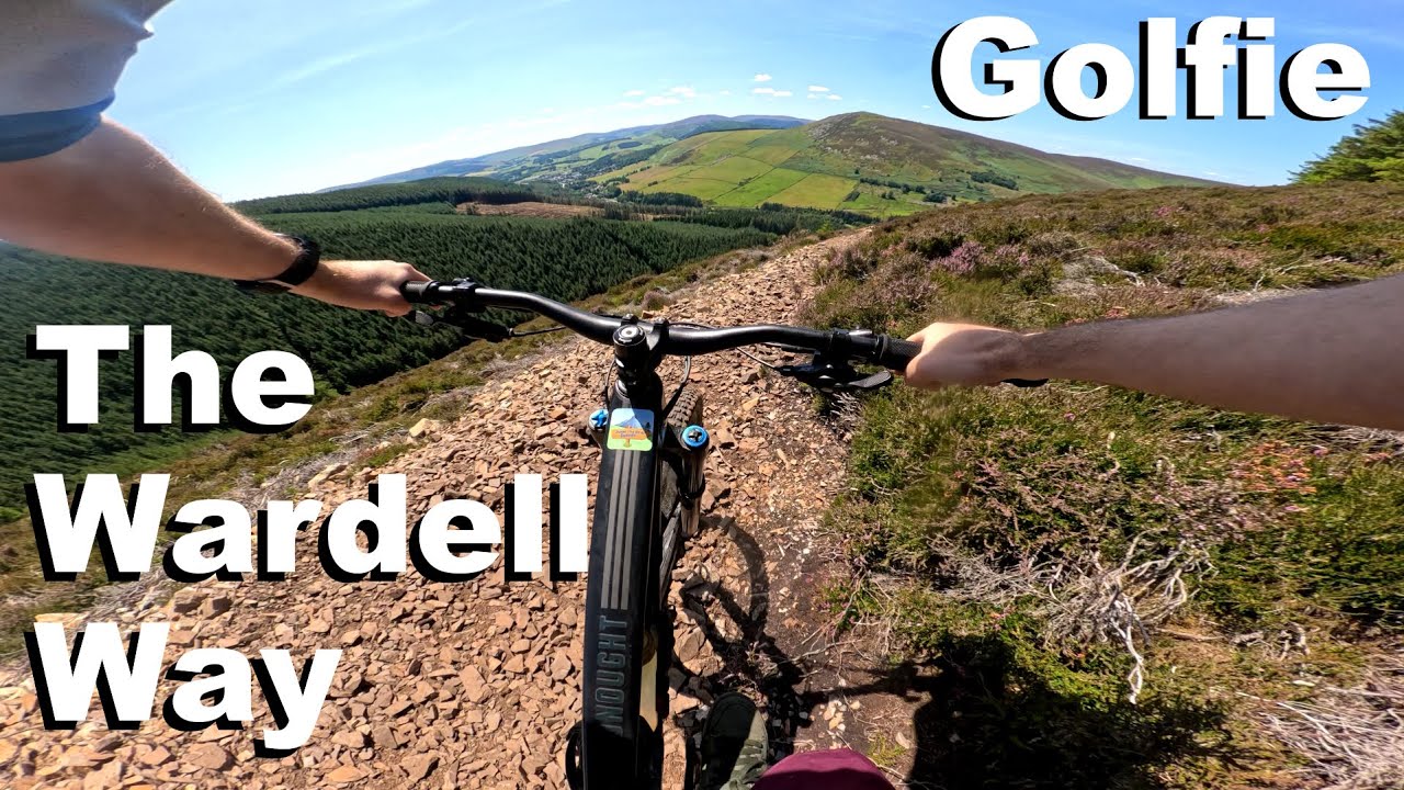 Wardell Way - Golfie 2025