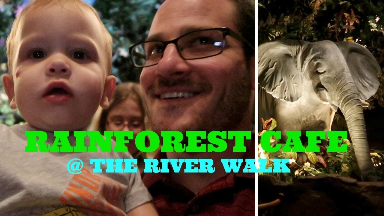 Rainforest Cafe Elephants - San Antonio Riverwalk Vlog