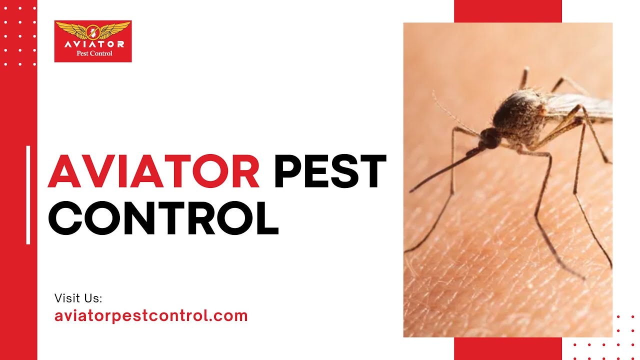 Aviator Pest Control - Ressidential And Commercail Pest Control Houston, TX | Fleas/Ticks Control