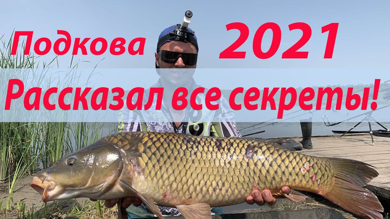 Карпфишинг на соревнованиях! Расказал все свои секреты и тактику ловли! Соревнования Stalker 2021