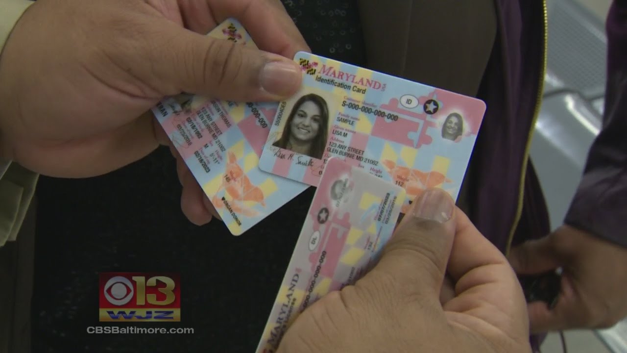 Md. Motor Vehicle Administration Unveils New Driver's Licenses and IDs