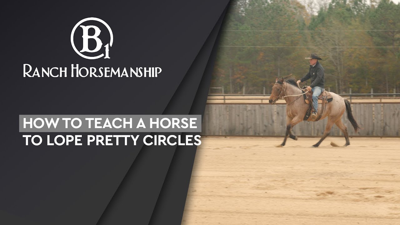 How to Teach a Horse to Lope Pretty Circles Preview