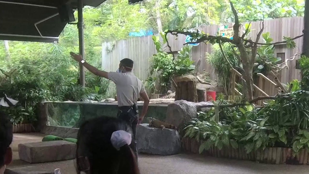 Once Upon A River [ River Safari Show ]