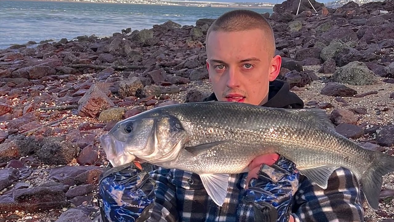 Bass & mullet Banger | South west Wales