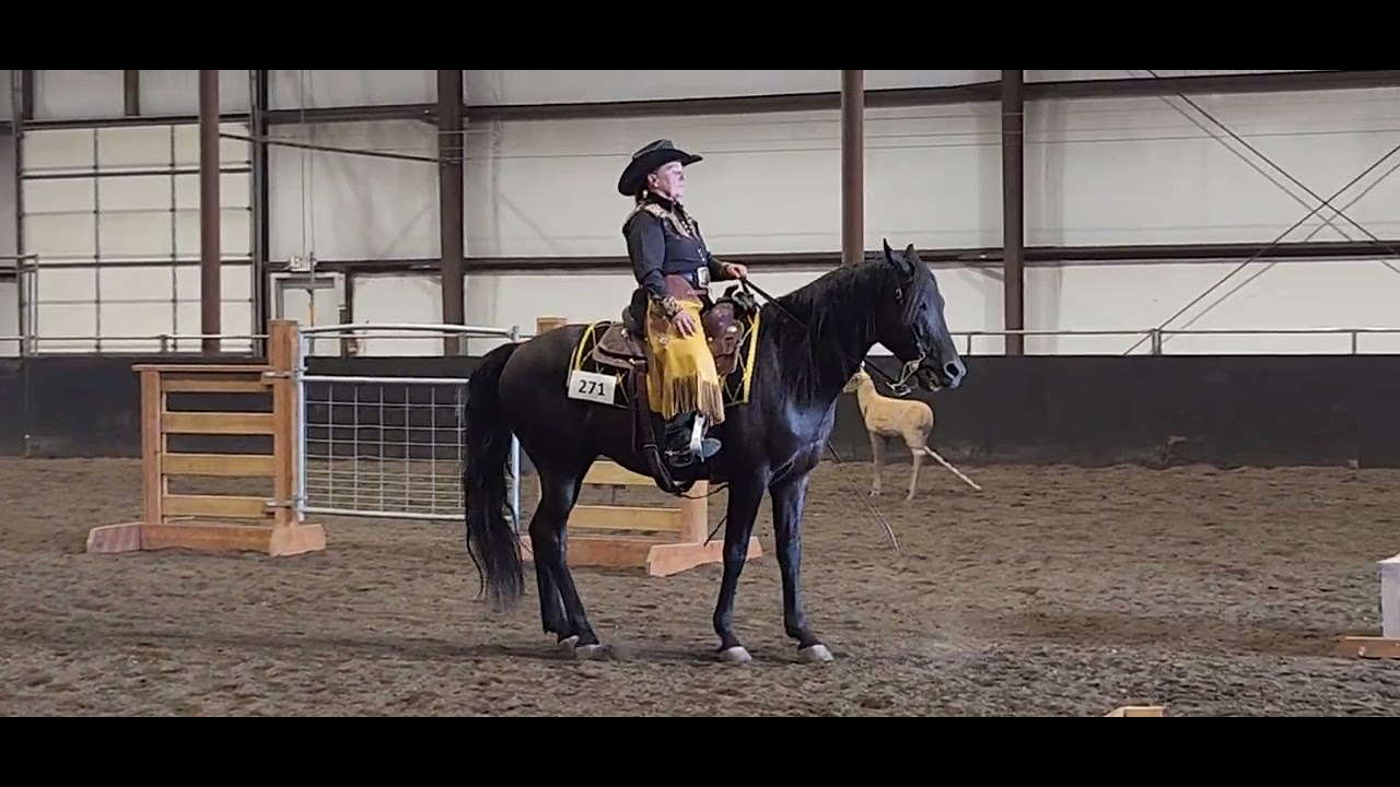 Land D MidNiteSonRise Ranch Riding W/T
