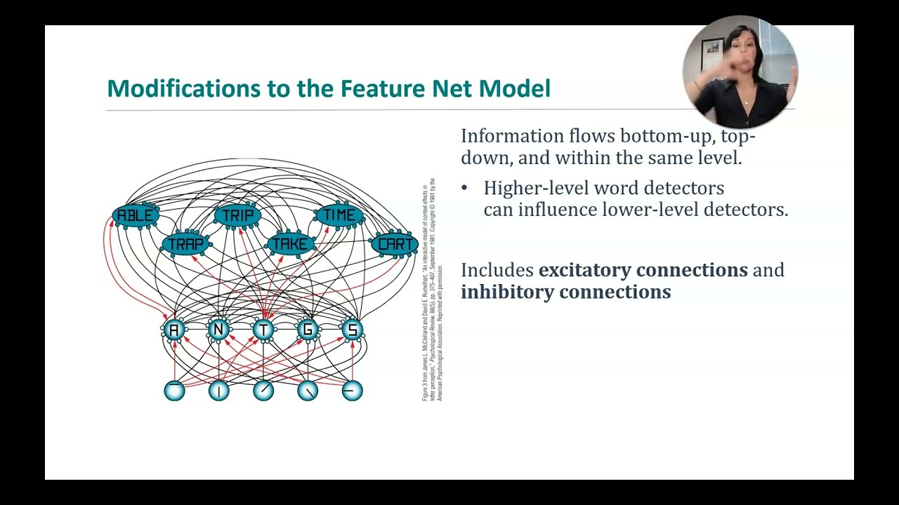 Feature Nets: Cognitive Psychology