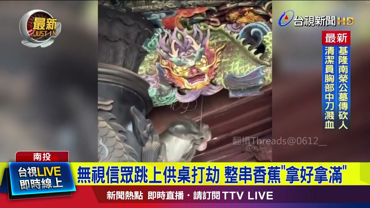 就是在說你！ 獼猴「WARNING」告示牌前行搶【最新快訊】