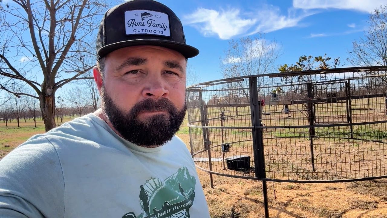 Pigs are Destroying the Pecan Farm!