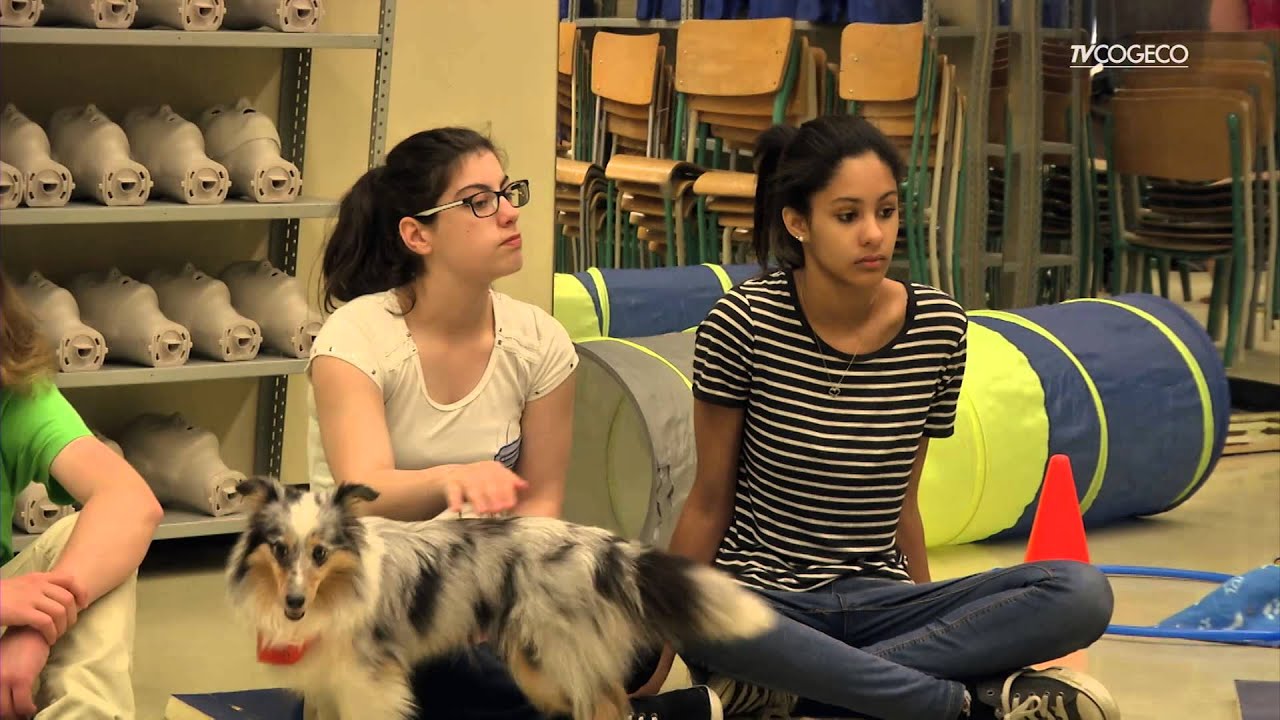 Zootherapie