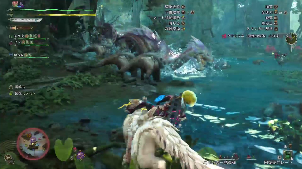 [PS5]モンハンワイルズ　#205