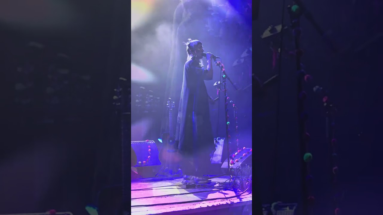 Aterciopelados-Chicago 2025