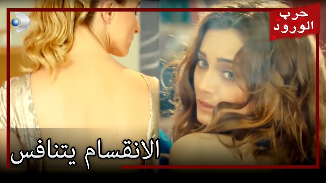 الانقسام يتنافس حرب الورود مقطع حصري